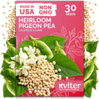 KVITER 30 Guandules Pigeon Peas Seeds for Planting (Cajanus Cajan) – a.k.a Gandules Goya, Gungo Peas, Congo Pea Non GMO & Organic – Heirloom Vegetable Seeds to Plant in Outdoor Garden & Trellises