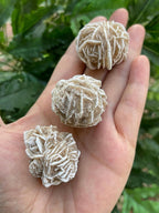 GAF TREASURES 3 Pcs Raw Desert Rose Crystals, Natural Desert Rose Stone, Natural Rough Desert Rose Crystals, Desert Rose Rough, Desert Rose Healing Crystals (Desert Rose)