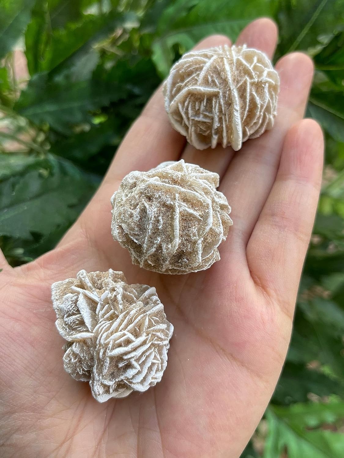GAF TREASURES 3 Pcs Raw Desert Rose Crystals, Natural Desert Rose Stone, Natural Rough Desert Rose Crystals, Desert Rose Rough, Desert Rose Healing Crystals (Desert Rose)