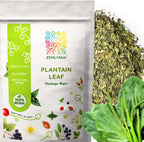 Dried Plantain Leaf Herb for Tea - Plantago Major Leaves - Hojas de Llanten Hierba - Cut & Sifted Natural Broadleaf Plantain Herbs, Bulk 2lb (32oz)