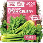 KVITER 1000 Tall Utah Celery Seeds (Apium graveolens) – Celery Seed Packets Home Grown – Non GMO Heirloom Vegetable Garden Seeds for Planting, Outdoor & Indoor Garden Beds, Containers