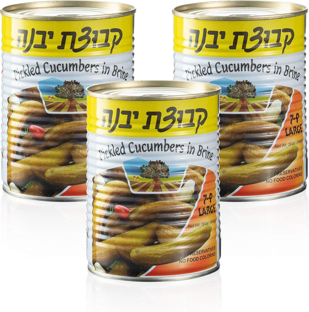 Pickled Cucumbers in Brine | Crispy Cucumber Pickles, All Natural, No Preservatives | Pack of 3, Total of 57 Oz (Large Pickles)
