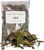 Black Walnut Leaves 4 Ounces-Bulk Bag-1/4 Pound-Juglans nigra-Mexican