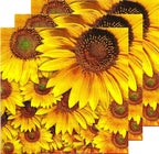 50 Count Sunflower Napkins - Yellow Sunflower Themed Cocktail Paper Napkins - Disposable for Parties