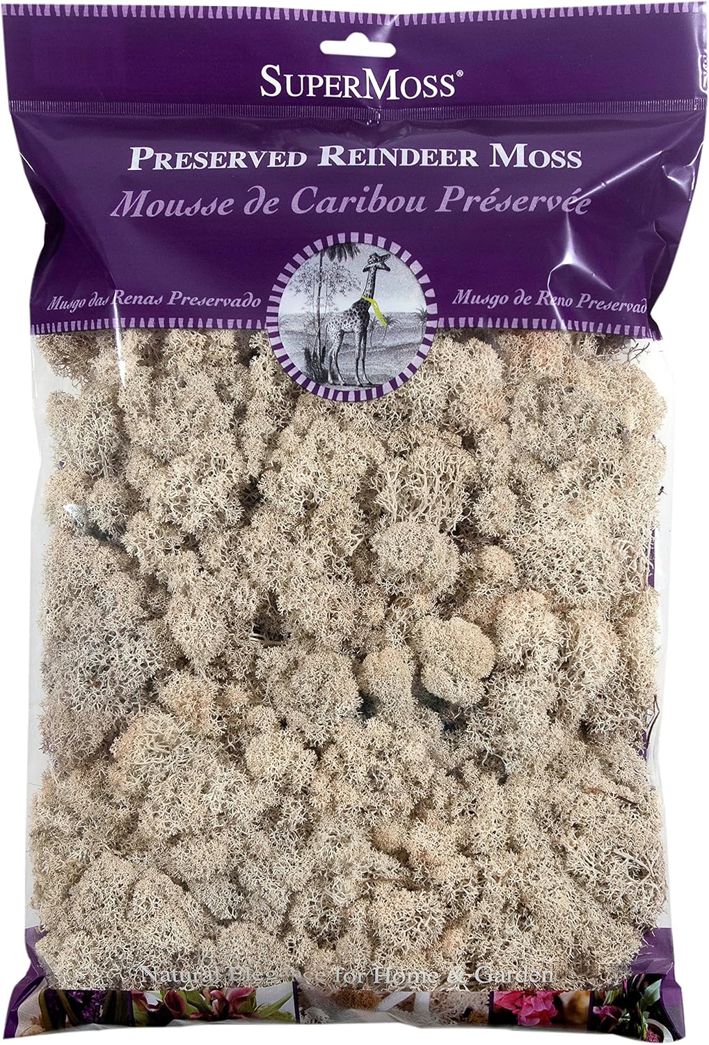 SuperMoss (21722) Reindeer Moss Preserved, Natural, 8oz (200 cubic inch)