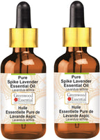 Greenwood Essential Pure Spike Lavender Essential Oil (Lavandula latifolia) with Glass Dropper Steam Distilled (Pack of Two) 100ml X 2 (6.76 oz)