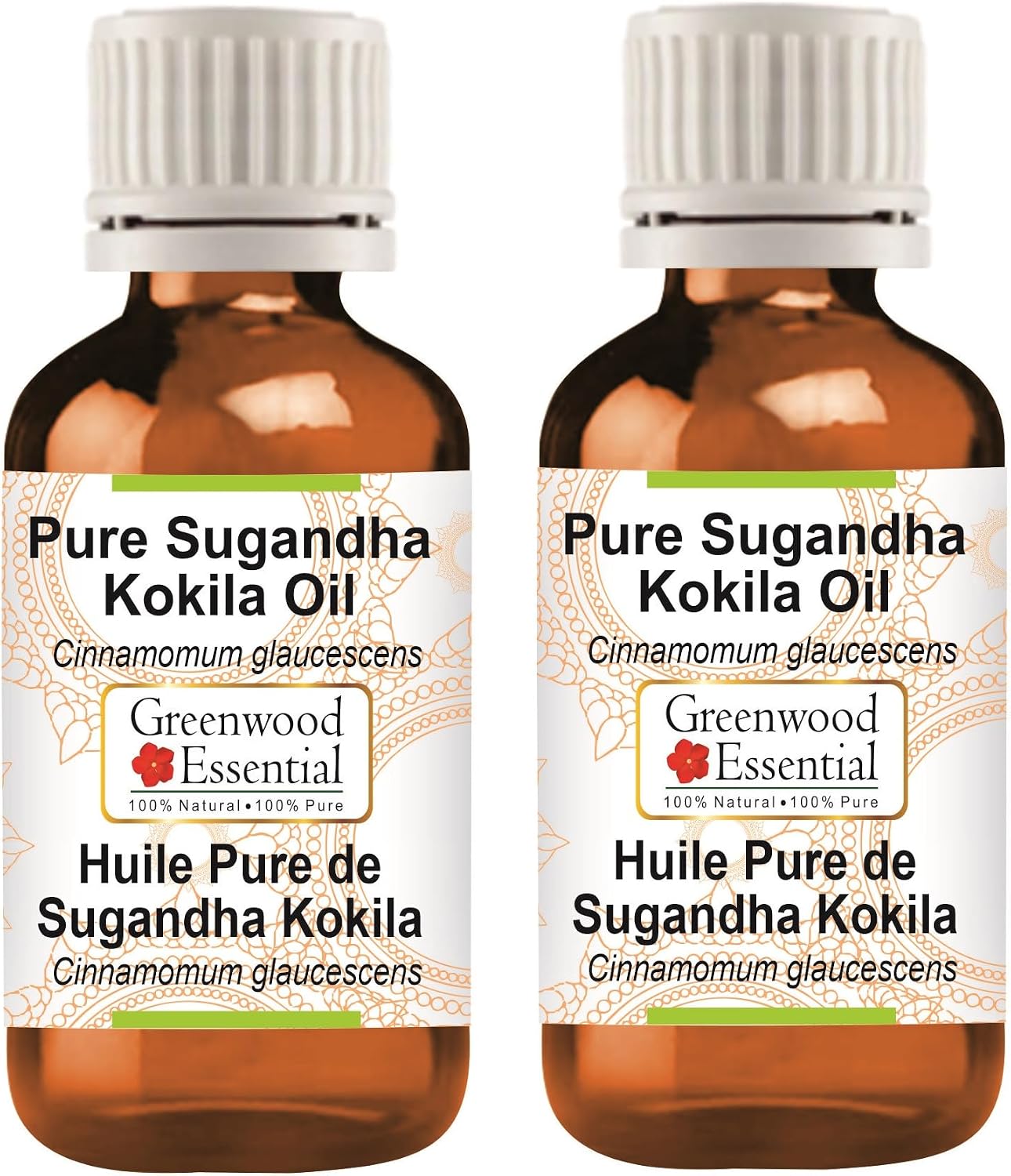 Greenwood Essential Pure Sugandha Kokila Essential Oil (Cinnamomum glaucescens) Steam Distilled (Pack of Two) 100ml X 2 (6.76 oz)