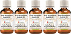 Greenwood Essential Pure Sugandha Kokila Essential Oil (Cinnamomum glaucescens) Steam Distilled (Pack of Five) 100ml X 5 (16.9 oz)